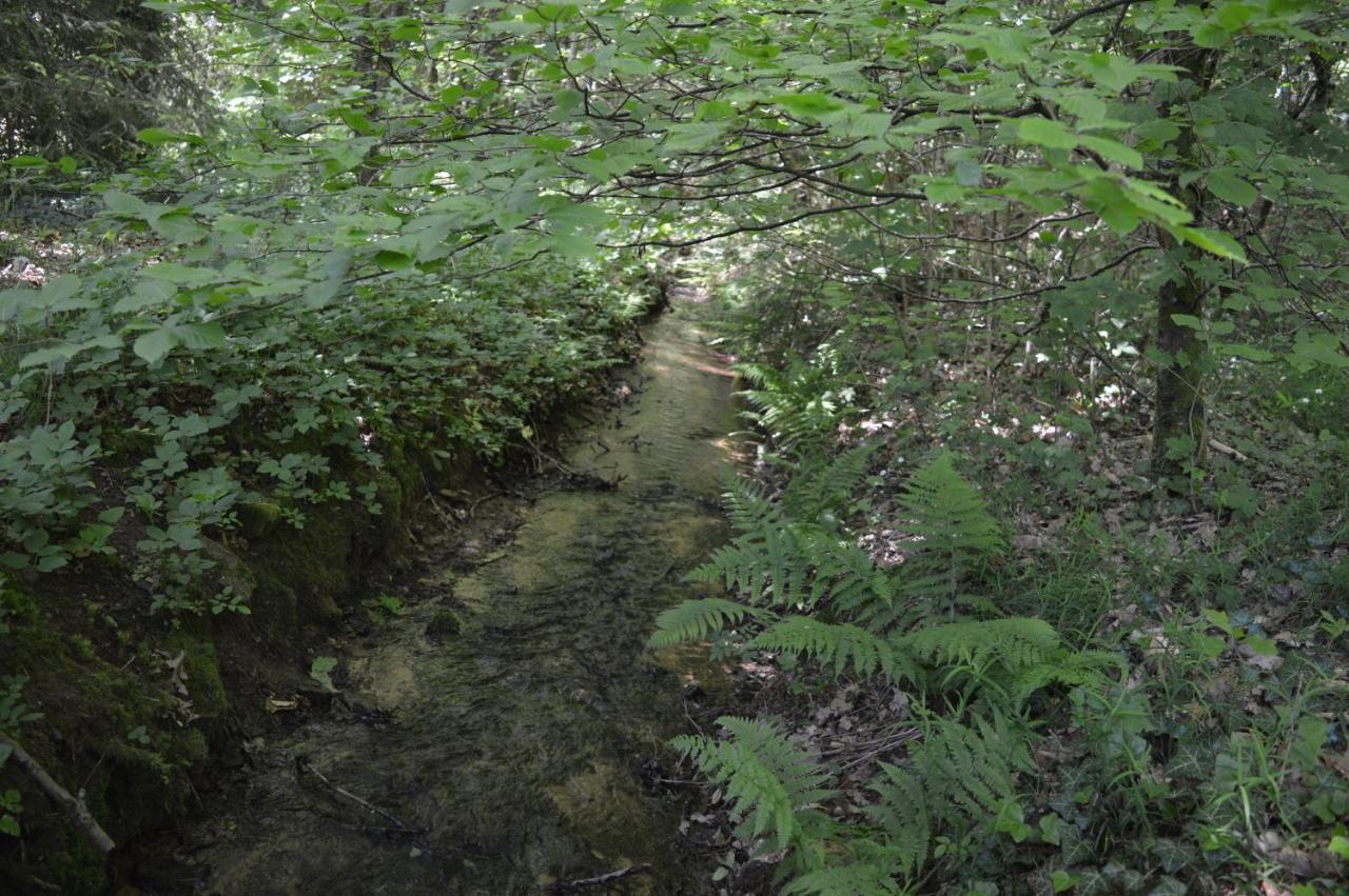 Saint-Leger Le Moulin De Chatillon מראה חיצוני תמונה
