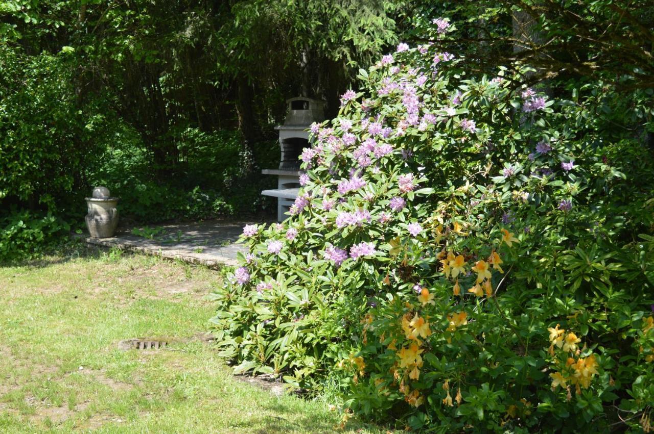 Saint-Leger Le Moulin De Chatillon מראה חיצוני תמונה
